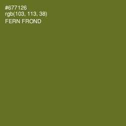 #677126 - Fern Frond Color Image